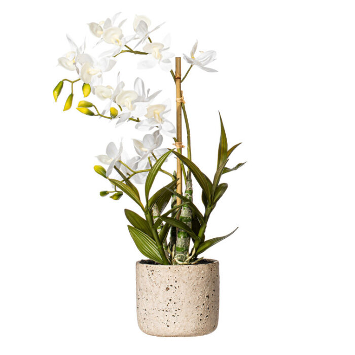 19″ Artificial Deluxe Potted Cycnoches Orchid - Chic Decora