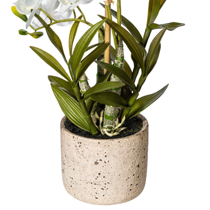 19″ Artificial Deluxe Potted Cycnoches Orchid - Chic Decora