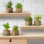 2.5” Faux Succulent Plant in Stone Pot - Chic Decora