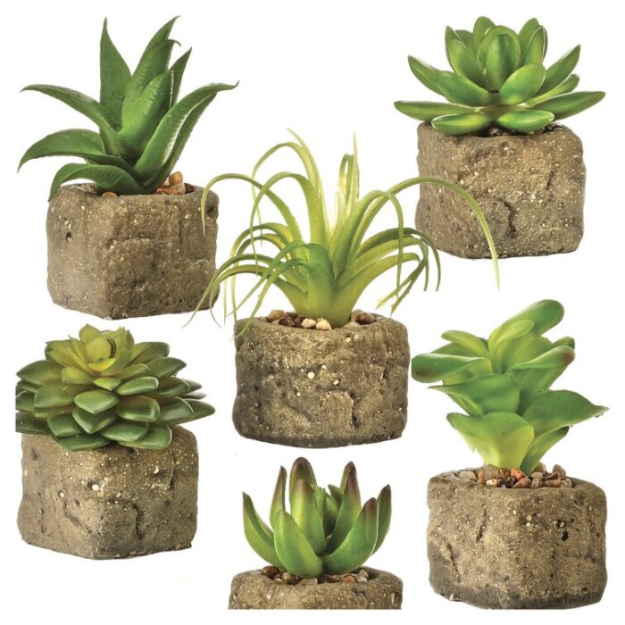 2.5” Faux Succulent Plant in Stone Pot - Chic Decora