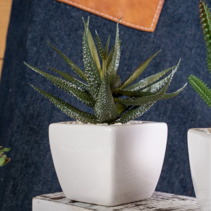 2.75” Faux Succulent Plant in Ceramic Pot - Chic Decora