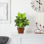 20.5” Faux Foliage Plant in Wood Pot - Chic Decora