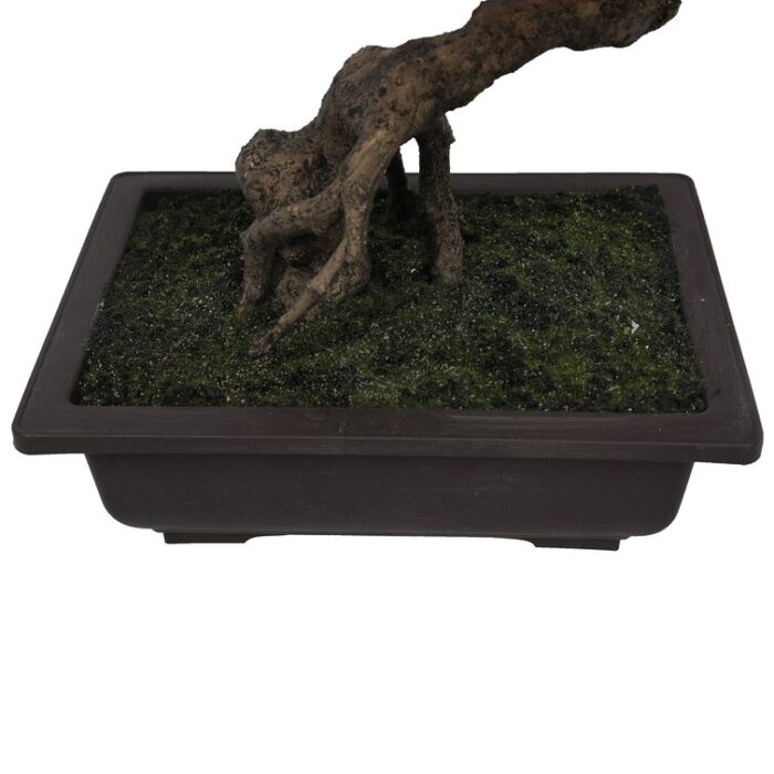 20″ Artificial Bonsai Plant in Planter - Chic Decora