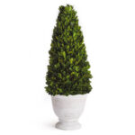 12.25” Boxwood Topiary in Ceramic Planter - Chic Decora