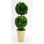 16” Boxwood Topiary in Terracotta Pot - Chic Decora