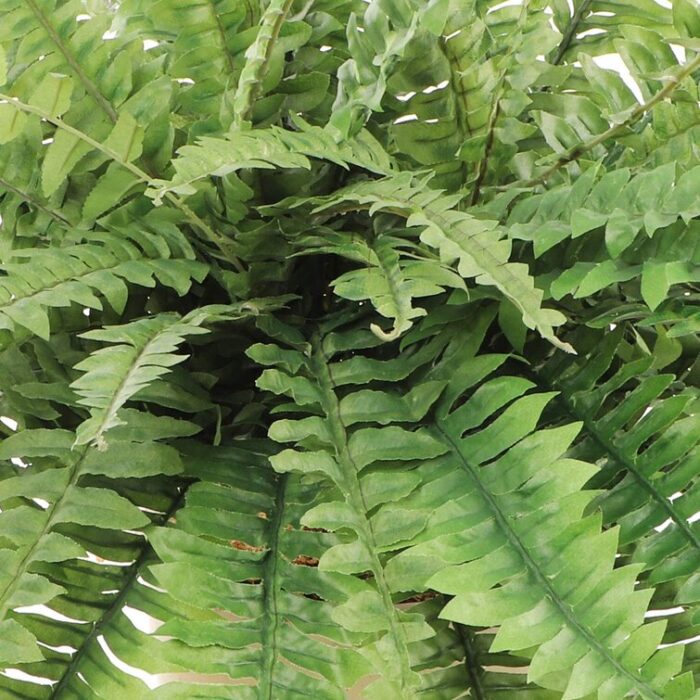 20” Fern Plant - Chic Decora