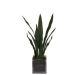 25” Faux Snake Plant (Sansevieria) Plant in Glass Vase - Chic Decora