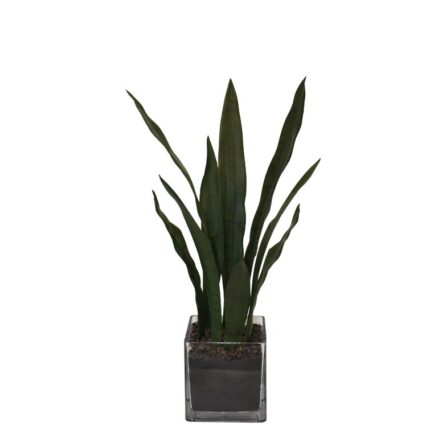 25” Faux Snake Plant (Sansevieria) Plant in Glass Vase - Chic Decora