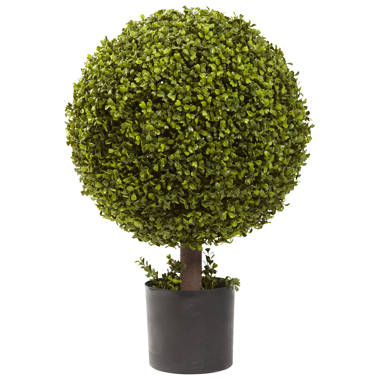 27” Faux Boxwood Topiary in Planter - Chic Decora