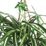 27” Faux Foliage Plant in Wood Basket - Chic Decora