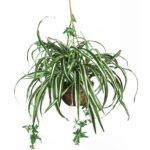 27” Faux Foliage Plant in Wood Basket - Chic Decora