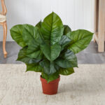 27” Faux Philodendron Plant in Pot - Chic Decora