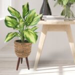 28” Faux Foliage Plant in Basket - Chic Decora