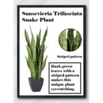 28” Faux Snake Plant (Sansevieria) Plant in Pot - Chic Decora