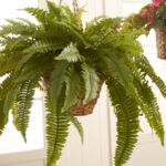 29” Faux Fern Plant in Basket - Chic Decora