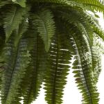 29” Faux Fern Plant in Basket - Chic Decora