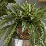 29” Faux Fern Plant in Wicker Basket - Chic Decora