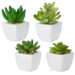 3.25” Faux Succulent Plant in Ceramic Planter - Chic Decora