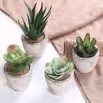 5” Faux Succulent Plant in Glass Pot - Chic Decora