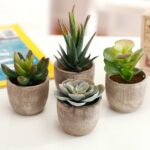 3.5” Faux Succulent in Pot - Chic Decora