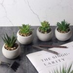 3.54” Faux Plant in Concrete Pot - Chic Decora