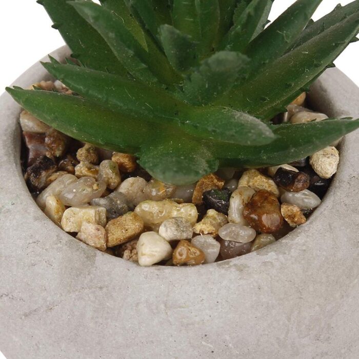 3.54” Faux Plant in Concrete Pot - Chic Decora