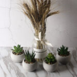 3.54” Faux Plant in Concrete Pot - Chic Decora