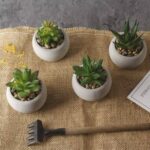 2.5” Faux Succulent Plant in Stone Pot - Chic Decora