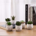 3.93” Faux Succulent Plant in Ceramic Pot - Chic Decora