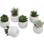 3.93” Faux Succulent Plant in Ceramic Pot - Chic Decora