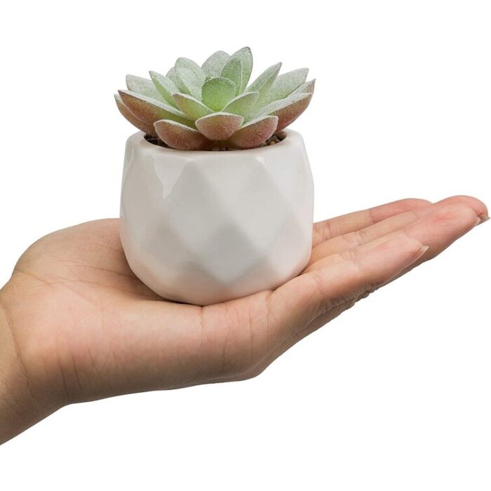 3.93” Faux Succulent Plant in Ceramic Pot - Chic Decora