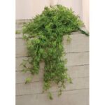 33” Faux Fern Plant in Wood Decorative Vase - Chic Decora