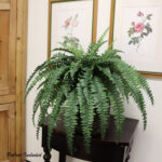 30” Faux Fern Plant - Chic Decora