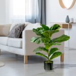 30” Faux Fiddle Leaf Fig Plant in Pot - Chic Decora