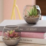 10” Faux Succulent in Ceramic Pot - Chic Decora