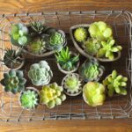 3” Faux Succulent Plant in Pot - Chic Decora