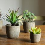 3” Faux Succulent Plant in Pot - Chic Decora