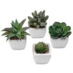 3” Faux Succulent in Ceramic Pot - Chic Decora