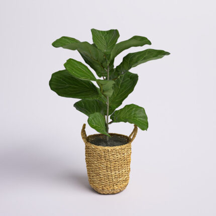 36” Faux Fiddle Leaf Fig Plant in Wicker/Rattan Basket - Chic Decora