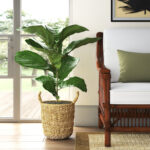 36” Faux Fiddle Leaf Fig Plant in Wicker/Rattan Basket - Chic Decora