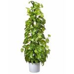 36” Faux Plant in Pot - Chic Decora