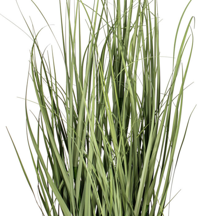 36” Faux Succulent Grass in Pot - Chic Decora