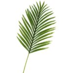 23” Palm Branch - Chic Decora