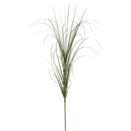 36” Succulent Grass - Chic Decora