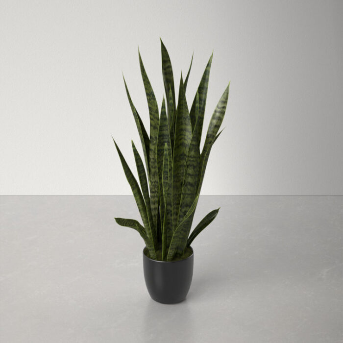 38” Faux Snake Plant (Sansevieria) Plant in Planter - Chic Decora