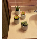 4.00” Faux Succulent in Cement Pot - Chic Decora