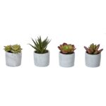 4.00” Faux Succulent in Cement Pot - Chic Decora