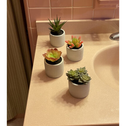 4.00” Faux Succulent in Cement Pot - Chic Decora