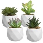 4.3” Faux Succulent Plant in Ceramic Pot - Chic Decora