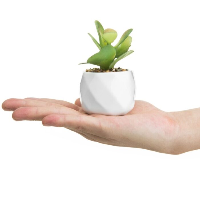 4.3” Faux Succulent Plant in Ceramic Pot - Chic Decora